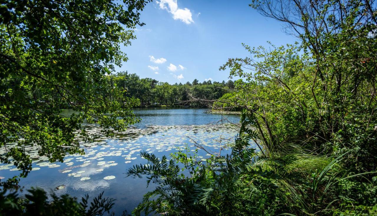Camping L'Etang D'Ardy *** Saint-Paul-les-Dax Ngoại thất bức ảnh